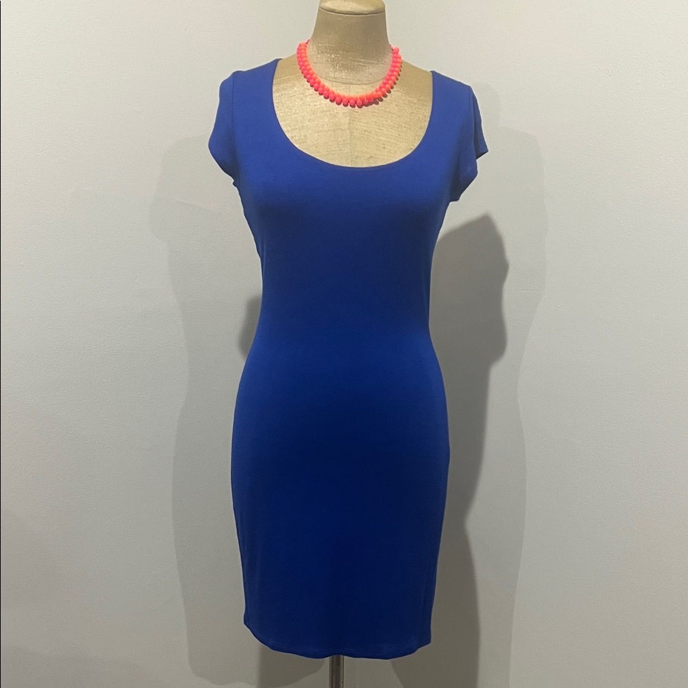Rolla Coster Blue Dress